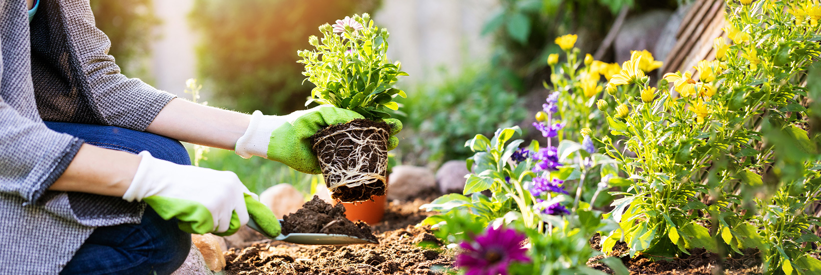 Increase the chance of a quick home sale by addressing three key factors