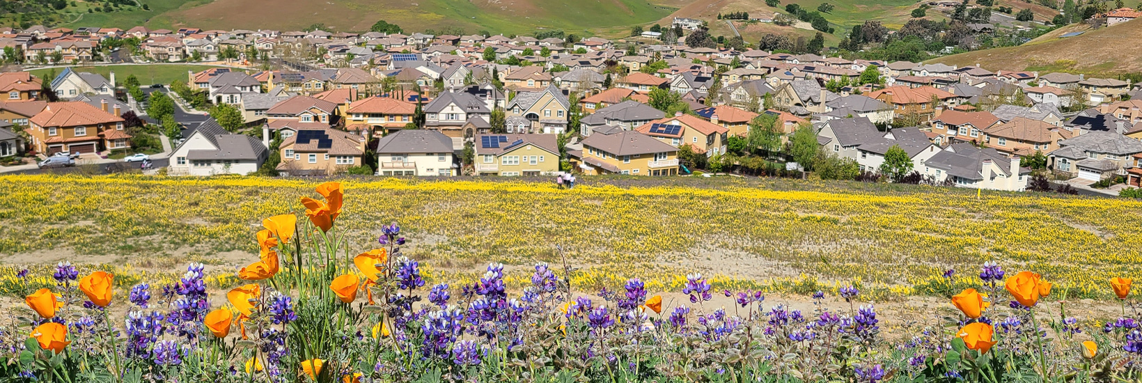What's in store for 2024: Predictions about the local real estate market and how to best prepare